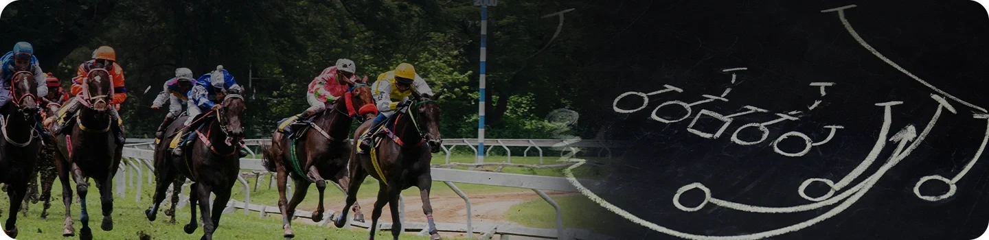 Horse-racing-tips Horse-racing-tips