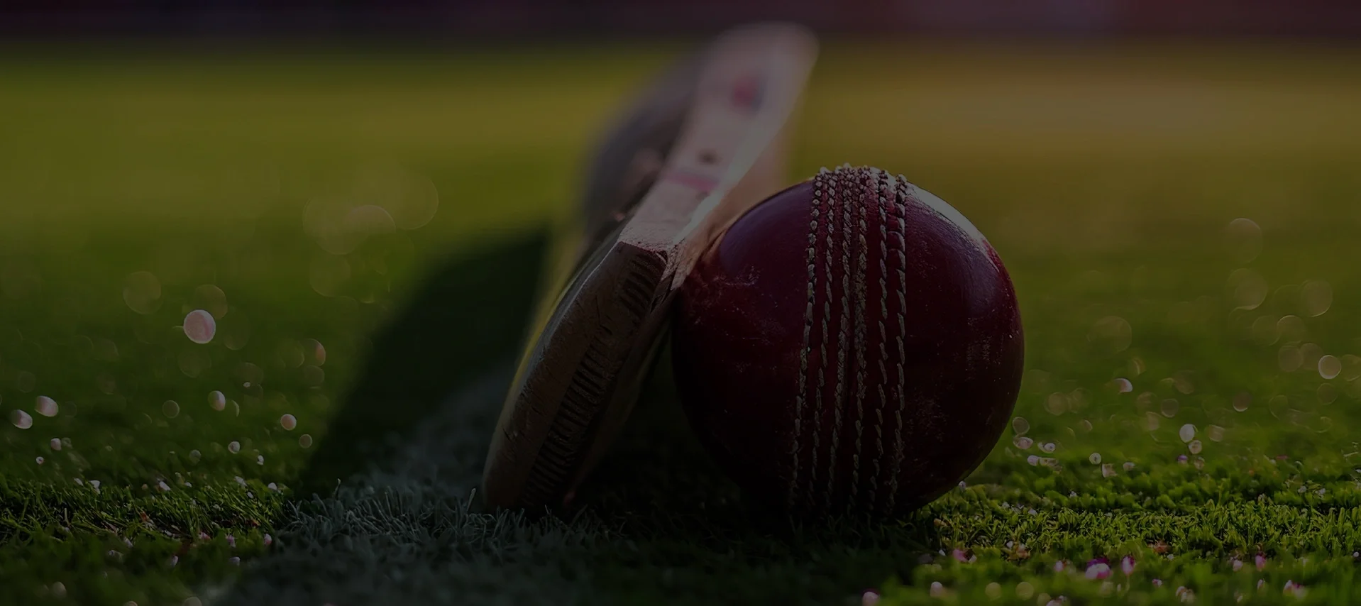 cricket cricket